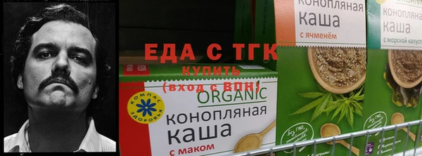 сатива Алексин