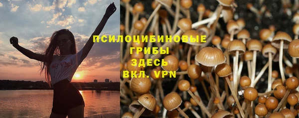 каннабис Алексеевка