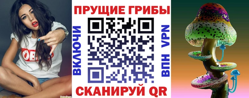 Псилоцибиновые грибы прущие грибы  мега ссылка  Лысково  закладка 